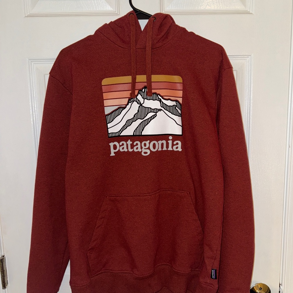 Patagonia Men's Brick Red Hoodie
